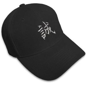 imageBaseball Cap Japanese Truth Embroidery Foreign Languages Hats for Men ampamp WomenBlack