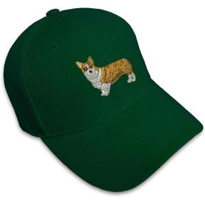 imageCustom Baseball Cap Pembroke Welsh Corgi Dog B Embroidery Dogs AcrylicForest Green Design Only