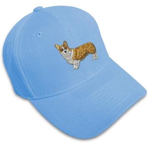 imageCustom Baseball Cap Pembroke Welsh Corgi Dog B Embroidery Dogs AcrylicLight Blue Design Only