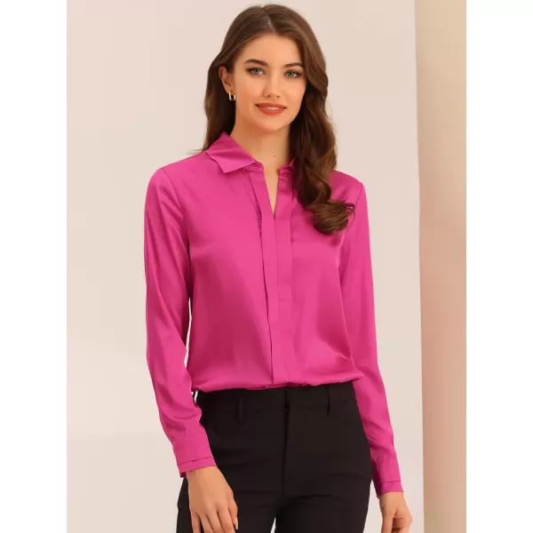 Allegra K Women's Satin Blouse Elegant V Neck Long Sleeve Silky Office Work Shirt