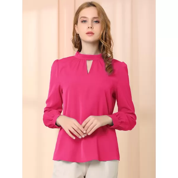 Allegra K Women's Work Office Tops Business Professional Shirt Elegant Stand Collar Fall 2023 Long Sleeve Blouses