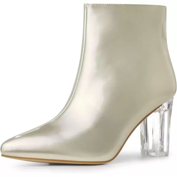 Allegra K Women's Clear Heel Pointed Toe Chunky Heels Ankle Boots