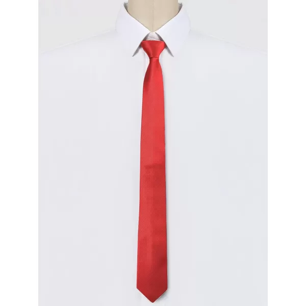 Allegra K Men's Skinny Pretied Solid Color Zipper Ties Neck Adjustable Strap Wedding Groom Tie