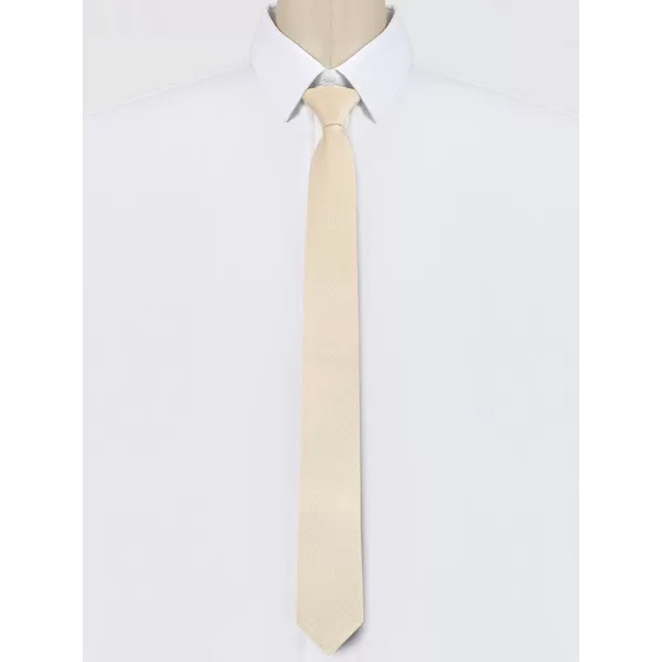 Allegra K Men's Skinny Pretied Solid Color Zipper Ties Neck Adjustable Strap Wedding Groom Tie