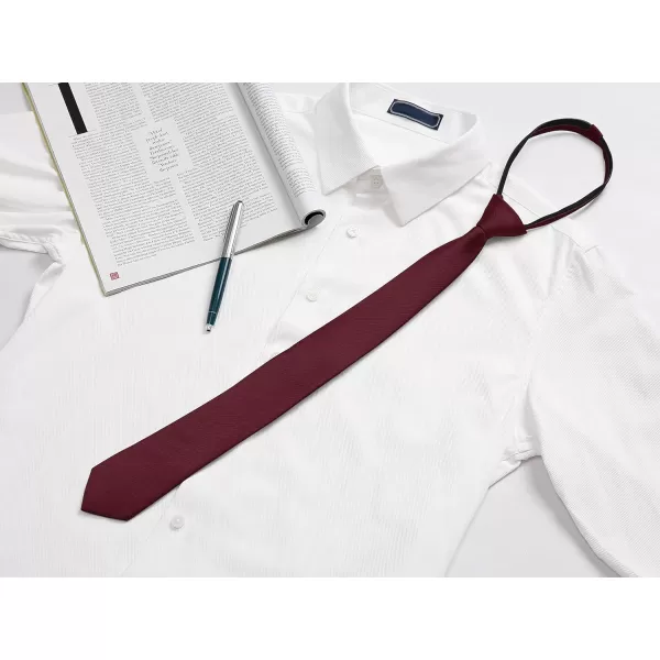 Allegra K Men's Skinny Pretied Solid Color Zipper Ties Neck Adjustable Strap Wedding Groom Tie