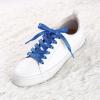 imageAllegra K Glitter Shiny Metallic Sparkling Shimmery Flat Sneakers Shoelace Shoe Laces StringsRoyal Blue