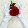 imageAllegra K Womens Long Gloves 1920S Evening Party Full Finger Mittens Elegant Opera GloveWhite