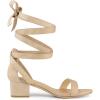 imageAllegra K Womens Open Toe Block Heel Lace Up Heels Heel SandalsBeige