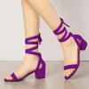 imageAllegra K Womens Open Toe Block Heel Lace Up Heels Heel SandalsPurple