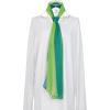 imageuxcell Long Chiffon Light Wedding Scarf Silky Gradient Color Party Shawl Spring Summer Beach Wrap for WomenDark Light Green