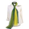 imageuxcell Long Chiffon Light Wedding Scarf Silky Gradient Color Party Shawl Spring Summer Beach Wrap for WomenGreen