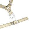 imageAllegra K Womens Detachable Shoe Belts Adjustable AntiSlip Ankle Strap for Heels 2 PairsGlossy Golden
