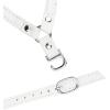 imageAllegra K Womens Detachable Shoe Belts Adjustable AntiSlip Ankle Strap for Heels 2 PairsMatte White