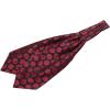 imageAllegra K Cravat Ties for Men Polka Dots Cravat Wedding Party Casual Ascot TieRed