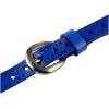 imageuxcell Women Thin Hollow Out Single Pin Buckle Belt Width 34Blue