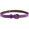 imageuxcell Women Thin Hollow Out Single Pin Buckle Belt Width 34Purple