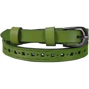 imageuxcell Women Carved Multihole Hollow Alloy Pin Buckle Leather BeltDusty Greenstars