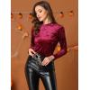 imageAllegra K Casual Velvet Top for Womens Soft Vintage Crew Neck Long Sleeve Christmas TShirtBurgundy