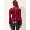 imageAllegra K Casual Velvet Top for Womens Soft Vintage Crew Neck Long Sleeve Christmas TShirtBurgundy