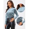 imageAllegra K Casual Velvet Top for Womens Soft Vintage Crew Neck Long Sleeve Christmas TShirtLight Blue