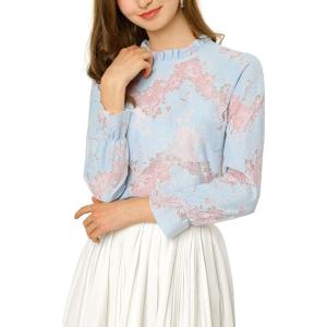 imageAllegra K Womens Elegant See Through Top Ruffle Frill Neck Long Sleeve Floral Lace BlousePinkblue