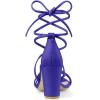imageAllegra K Womens Strappy Lace Up Chunky Heeled SandalsDark Blue