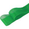 imageAllegra K 2 Pairs Flat Snow Yarn Shoelaces 25cm4cm Wide Transparent Shoe Laces for SneakersGreen