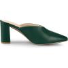 imageAllegra K Womens Pointed Toe Chunky Heels Slides MulesDark Green
