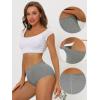imageAllegra K Womens Cotton Underwear HighRise Lace Trim Tummy Control Full Coverage BriefGray