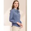 imageAllegra K Womens Vintage Bow Tie Neck Peter Pan Collar Blouse Preppy Chiffon Button Up ShirtDusty Blue