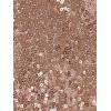 imageAllegra K Sequin Tops for Womens Glitter Short Sleeve Cropped Round Neck Tassel Cocktail Party Sparkly TopRose Gold