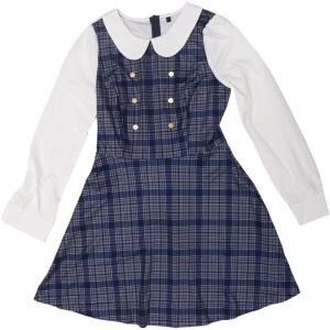 imageAllegra K Womens Peter Pan Collar Contrast Color Button Decor ALine Christmas Plaid Mini DressGray Blue