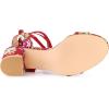 imageAllegra K Womens Block Heel Sandals Lace Up HeelsRed