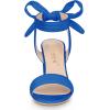 imageAllegra K Women Open Toe Ankle Tie Back Chunky Heel SandalsDeep Blue
