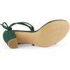 imageAllegra K Womens Clear Strap Block Heels Lace Up Heels SandalsLight Green