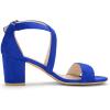 imageAllegra K Womens Crisscross Ankle Strap Block Heel SandalsRoyal Blue