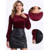 imageAllegra K Velvet Tops for Women Crew Neck Puff Long Sleeve Casual Pullover Fall Winter Blouses TopBurgundy