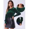 imageAllegra K Velvet Tops for Women Crew Neck Puff Long Sleeve Casual Pullover Fall Winter Blouses TopDark Green