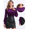 imageAllegra K Velvet Tops for Women Crew Neck Puff Long Sleeve Casual Pullover Fall Winter Blouses TopPurple