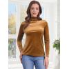 imageAllegra K Womens Turtleneck Velvet Top Long Sleeve Work Shirts Basic Velour BlouseBrown
