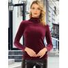 imageAllegra K Womens Turtleneck Velvet Top Long Sleeve Work Shirts Basic Velour BlouseBurgundy