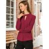 imageAllegra K Womens Work Tops Dressy Casual Shirts Mock Neck Keyhole Business Casual Long Sleeve BlouseBurgundy