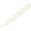 imageAllegra K Womens Lace Hollow Flower Embroidered Shoestrings Extra Wide Flat Shoe Laces for Sneakers 2 PairsBeige