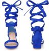 imageAllegra K Womens Open Toe Block Heel Lace Up Heels Heel SandalsRoyal Blue
