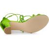 imageAllegra K Womens Strappy Crisscross Strap Opened Toe Block Heels SandalsPatent Green