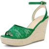 imageAllegra K Womens Lace Ankle Strap Platform Heel Espadrille Wedge Heels SandalsGreen