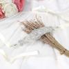image:imageuxcell Women Rhinestone Bead Decor Satin Ribbon Wedding BeltBeige