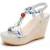 image:imageAllegra K Womens Beaded Tstrap Platform Elastic Peeptoe Sandals Silver 85