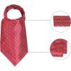 image:imageAllegra K Mens Polka Dots SelfTied Neck Cravat Tie Ascot Tie Formal Party CravatsWine Red White