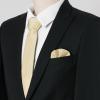 image:imageAllegra K Necktie PreTied Bowtie and Pocket Square Set Ties for Wedding BusinessChampagne
